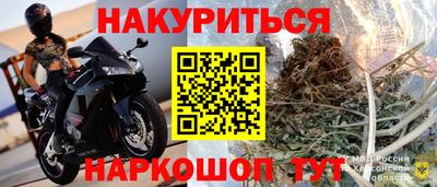 гашик Будённовск