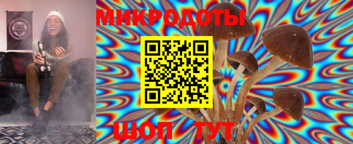 Псилоцибиновые грибы Psilocybine cubensis  Вход с VPN  Надым  Псилоцибиновые грибы Psilocybine cubensis 
