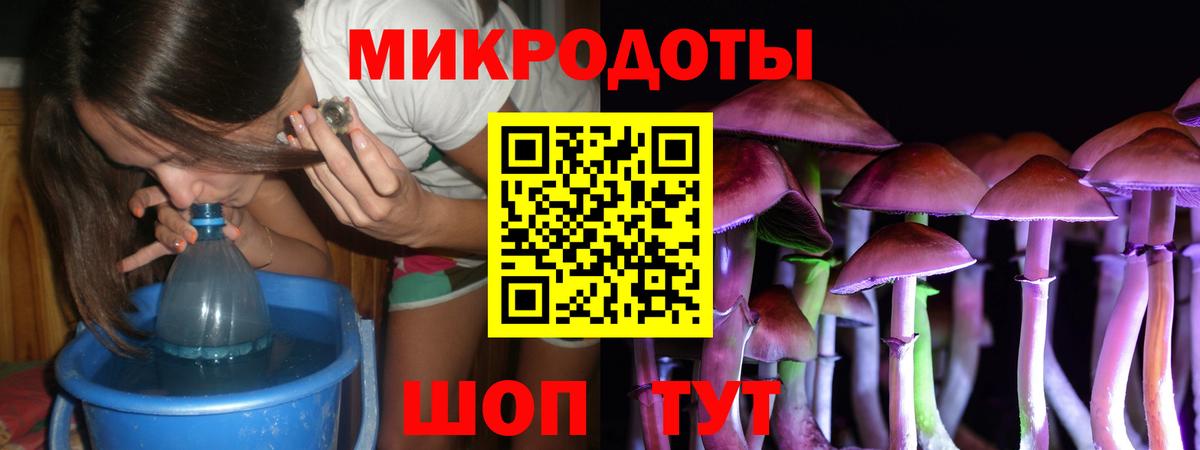 Псилоцибиновые грибы Psilocybe Надым